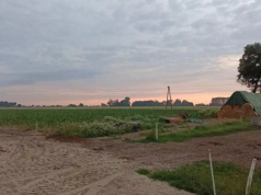 Opłacalność w dół, inwestycje w górę. Co pokazują nowe dane z gospodarstw?