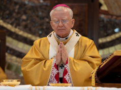 Abp Jędraszewski grzmi o reformie edukacji. Wspomniał o austriackim akwareliście