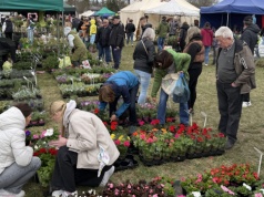 Kwiaty, krzewy i rekord frekwencji. Lubań pełen ogrodników