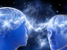 Uniwersalny rytm natury. Zasada 2 Hz rządzi całym światem żywym