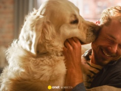 Jak rozpoznać, że pies cię kocha? Ekspertka wyjaśnia, na co zwrócić uwagę