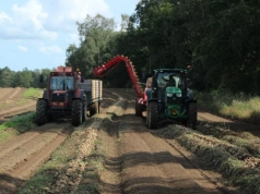 „Parametr o włos za niski i transport wraca”. Rolnicy bez wyjścia