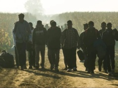 Niemcy wciąż podrzucają nam migrantów? Bąkiewicz pokazał nagranie z granicy