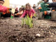 Ogrody deszczowe wracają do Metropolii. Ruszył program GZM 2026 – także w Katowicach