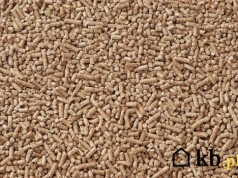 Kupił peleciarkę i zrobił 4 tony pelletu w 3 miesiące. Koszty go mocno zaskoczyły!