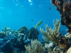 Ukryte źródło metanu w oceanie. Ta zagadka trapiła naukowców