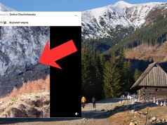 Spacerowali po Dolinie Chochołowskiej. Aż chwycili za telefon. "Ale wielki"