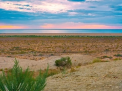 Prawie zniknęło, ale się odradza. To przełom po 20 latach