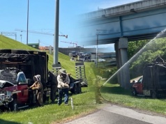 Milion pszczół na autostradzie po wypadku ciężarówki