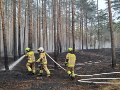 Pożar lasu. 10 jednostek walczyło z ogniem (ZDJĘCIA)