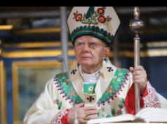 Marek Jędraszewski szokuje, porównał polski rząd do Hitlera. „Masa bezwolna do pracy przy niemieckich szparagach”