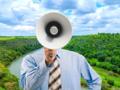 Niebezpieczne mrówki po raz pierwszy w Niemczech. Ich użądlenie zagraża życiu