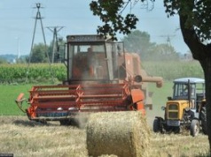 Miastowi na wsi. Mieszkańcy będą musieli być świadomi
