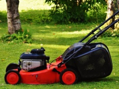 Kosił trawę i znalazł fortunę w złocie. Szokujący finał sprawy w Niemczech