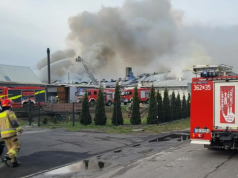 Pożar hali produkcyjnej w Dziardonicach. Trwa akcja strażaków