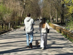 Przemycają psy do Warszawskiego ZOO. Niektórzy idą na całość i podają je bliskim przez ogrodzenie. To zakazane