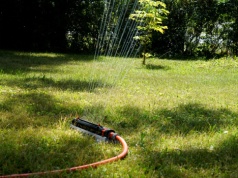 Urządzamy teren wokół domu