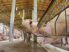 Problemy zaczną się za kilka miesięcy. Plany ogólne mogą sparaliżować inwestycje na wsi