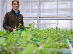 Karkonosze: giną unikatowe gatunki. Bank Genów ratuje ich pulę genową