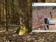 Leśnicy pokazali zdjęcie i apelują. "Warto zachować ostrożność"