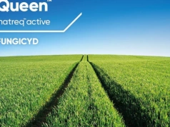 Nowy fungicyd w burakach. Plantatorzy dostają dodatkową broń na chwościka