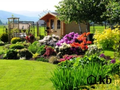 Tyle biorą ogrodnicy w 2026. Stawki potrafią zwalić z nóg