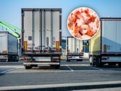 Transport z Indii zatrzymany. To miało trafić do sprzedaży w Polsce