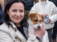 Alicja Drewczyńska i Fiona najlepsze w Chojnicach. Blisko 200 psów na wystawie