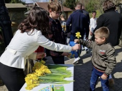 Żonkile i wielkie serca Sądeczan. Tyle udało się zebrać w akcji Pola Nadziei
