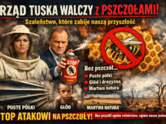 Rząd Tuska idzie na wojnę z pszczołami!
