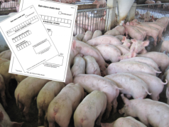 Nie zgłosisz gospodarstwa, nie sprzedasz zwierząt. Termin mija w czerwcu