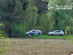 Makabryczne odkrycie. Z ziemi wystawała czaszka, odkopano cały szkielet. Na miejscu pracowała policja pod nadzorem prokuratora