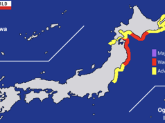 Tsuanami w Japonii. Bez zakłóceń w elektrowniach jądrowych