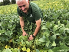 Biotechnologia wchodzi na pole. Czy Europa nadąży za rewolucją?