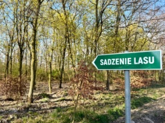 Światowy Dzień Ziemi: wolontariusze KGHM zasadzili kolejne tysiące drzew przy Hucie Miedzi Głogów