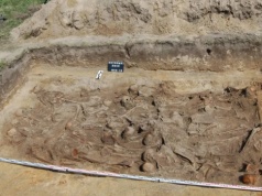 W poszukiwaniu szczątków 350 ofiar ludobójstwa wołyńskiego