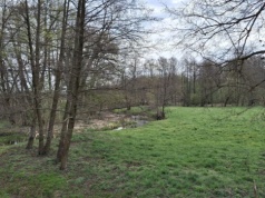 Za oknami mży, ale dane są bezlitosne. Susza uderza w Polskę