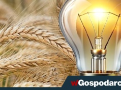 Magazyny zboża pełne. A może użyć go do produkcji energii?