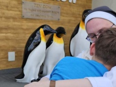 SZOKUJĄCY ALARM „PINGWINKÓW” Z BRONISZEWIC! „DOM CHŁOPAKÓW MA ZNIKNĄĆ?!”