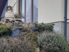 “Małą retencja” popularna w Rzeszowie. 130 właścicieli domów jednorodzinnych z dotacją