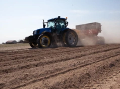 Sadzenie ziemniaków w suchą pogodę. Co najbardziej niszczy strukturę gleby?