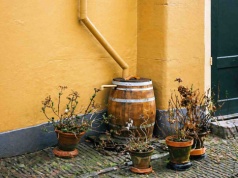 Dotacje na deszczówkę 2026. Jak odebrać 8000 zł z programu Mikroretencja?