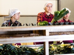 Premie podbiły wynagrodzenia. Ale liczba etatów budzi niepokój