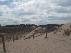 Rady gmin zdecydują o rezerwatach przyrody? PSL i Polska 2050 złożyły kontrowersyjny projekt nowelizacji