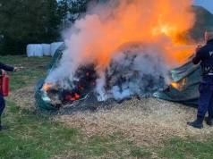 Ognisty foch. Nie wpuścili go do domu, więc podpalił rodzicom siano