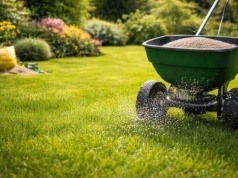 1 składnik, którego potrzebuje trawa, a którego ciągle jej żałujesz