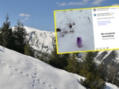 Zima nie odpuszcza. W Tatrach znów spadł śnieg