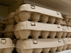 Ukraina bije rekord eksportu jaj. Polska wśród kluczowych odbiorców