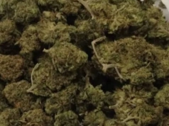 Podejrzenie jazdy pod wpływem narkotyków. W mieszkaniu miał ich znaczne ilości