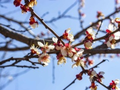 Przymrozki uderzą w Warmię i Mazury. IMGW wydał ostrzeżenie dla całego regionu